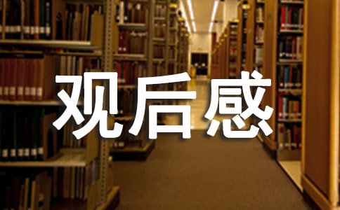 东京奥运会2021年观后感心得感悟5篇