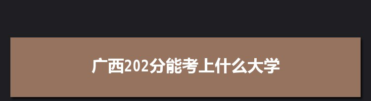 广西202分能考上什么大学,2022广西202分左右的大学名单