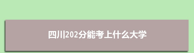 四川202分能考上什么大学,2022四川202分左右的大学名单