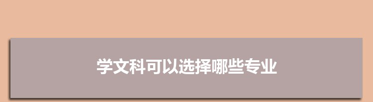 学文科可以选择哪些专业