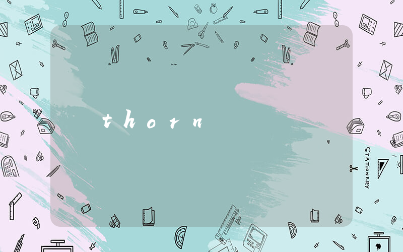thorn是什么意思_在线翻译_用法例句