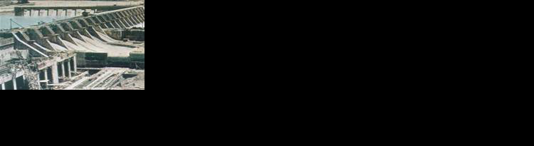 历史照片和第一手的文字材料蕴含着丰富的历史信息，可以呈现历史的真实。请阅读以下图片和文字材料： 材料一材料二作为一个国家，我们拒绝了任何彻底的革命计划_高中历史题库