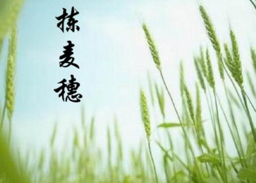 高一《拣麦穗》优秀教案设计