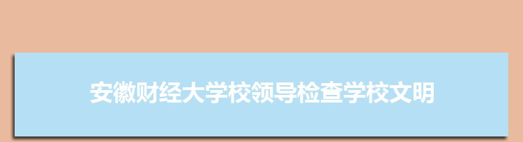 安徽财经大学校领导带队检查学校文明城市创建工作