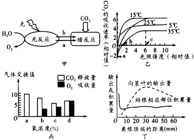 2010年5月1日，上海世博会正式开馆，美丽的场馆令人心驰神往。各个国家的场馆也各有特点，其中瑞士馆和法国馆的顶部都是一片青葱的植物。屋顶的绿色植物_高中生物题库