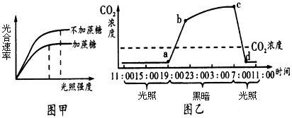 试管苗的光合作用能力较弱，需要逐步适应外界环境才能往大田移栽。研究人员进行了“改变植物组织培养条件缩短试管苗适应过程”的实验，实验在适宜温度下进行，_高中生物题库