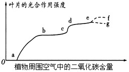 下图表示叶片的光合作用强度与植物周围空气中二氧化碳含量的关系。图示中，ce段是增大了光照强度后测得的曲线。下列有关叙述中，正确的是_高中生物题库