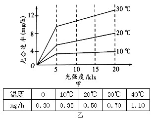 将金鱼藻置于一烧杯中培养，甲图表示不同温度下，金鱼藻光合速率(用每小时O2释放量表示)与光照强度的关系。乙图表示呼吸速率(用每小时O2消耗量表示)与_高中生物题库