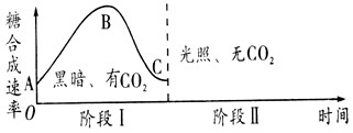请据下图分析下列有关光合作用和呼吸作用的问题。(1)有人设计了一个研究光合作用的实验，实验前在溶液中加入破损了外膜和内膜的叶绿体及一定量的酶和[H]_高中生物题库