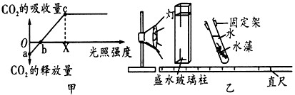 下图甲曲线表示某植物在恒温30℃时光合速率与光照强度的关系，图乙是某同学“探究影响植物光合速率的因素”的实验装置。试回答下列问题：_高中生物题库