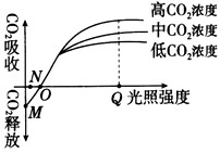 在下面的曲线图中，有M、N、O、Q四个点，对它们含义的叙述，哪项不正确[ ]A．M点时，植物不进行光合作用，只进行呼_高中生物题库
