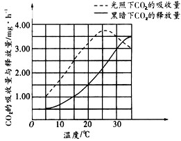 以测定的CO2吸收量与释放量为指标，研究温度对某绿色植物光合作用与呼吸作用的影响，结果如下图所示。下列分析正确的是[ ]_高中生物题库