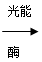 硝化细菌将二氧化碳和水合成糖类，其能量来自于[ ]A．光能B．电能C．化学能D．生物能_高中生物题库