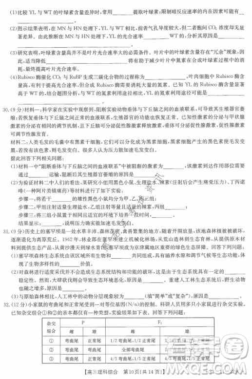 大庆市2022届高三年级第二次教学质量检测理科综合试题及答案