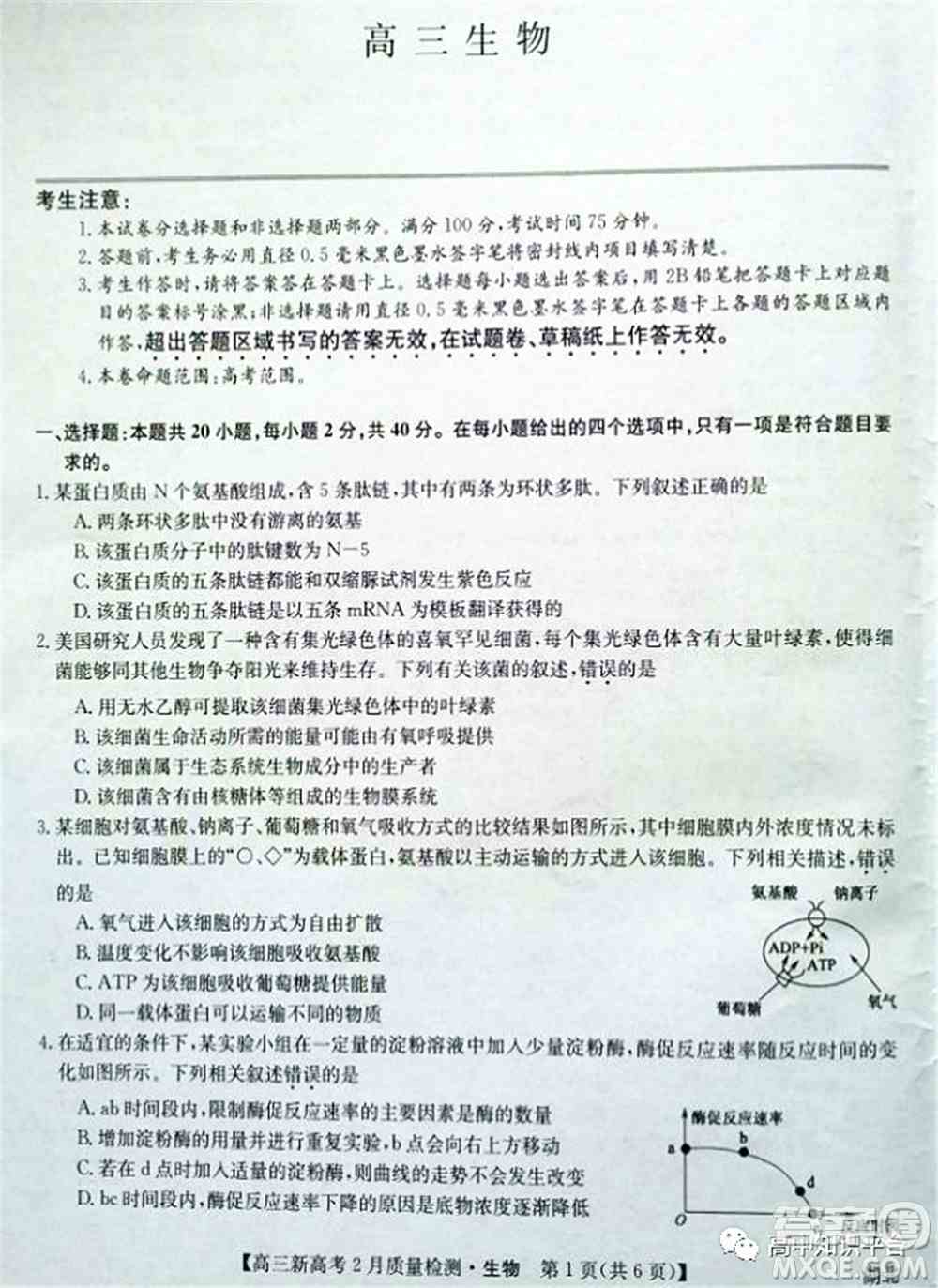 2022年湖北省新高考联考协作体高三新高考2月质量检测生物试题及答案