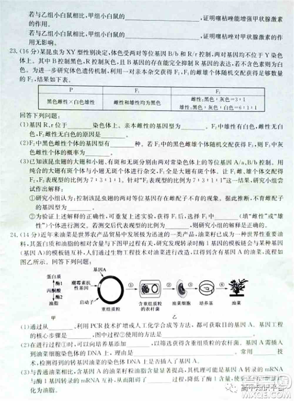 2022年湖北省新高考联考协作体高三新高考2月质量检测生物试题及答案
