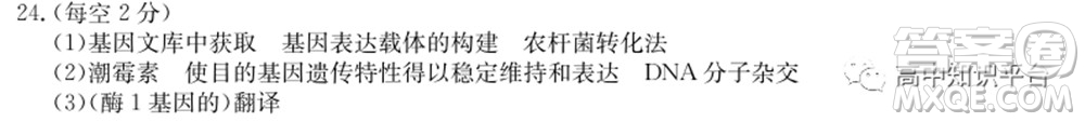 2022年湖北省新高考联考协作体高三新高考2月质量检测生物试题及答案