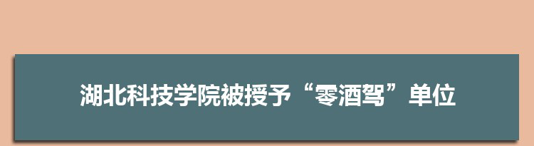 湖北科技学院被授予“零酒驾”创建单位