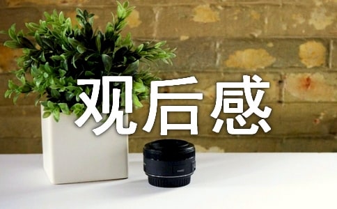 2022北京冬奥会闭幕式个人观后感五篇