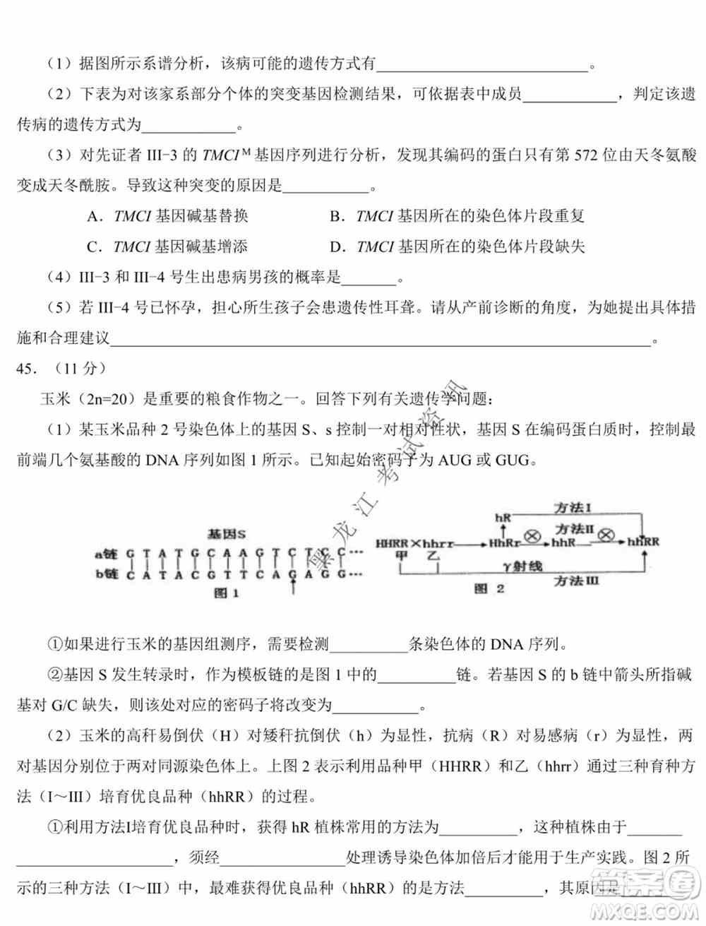 东北师大附中2019级高三年级第三次摸底考试生物试卷及答案