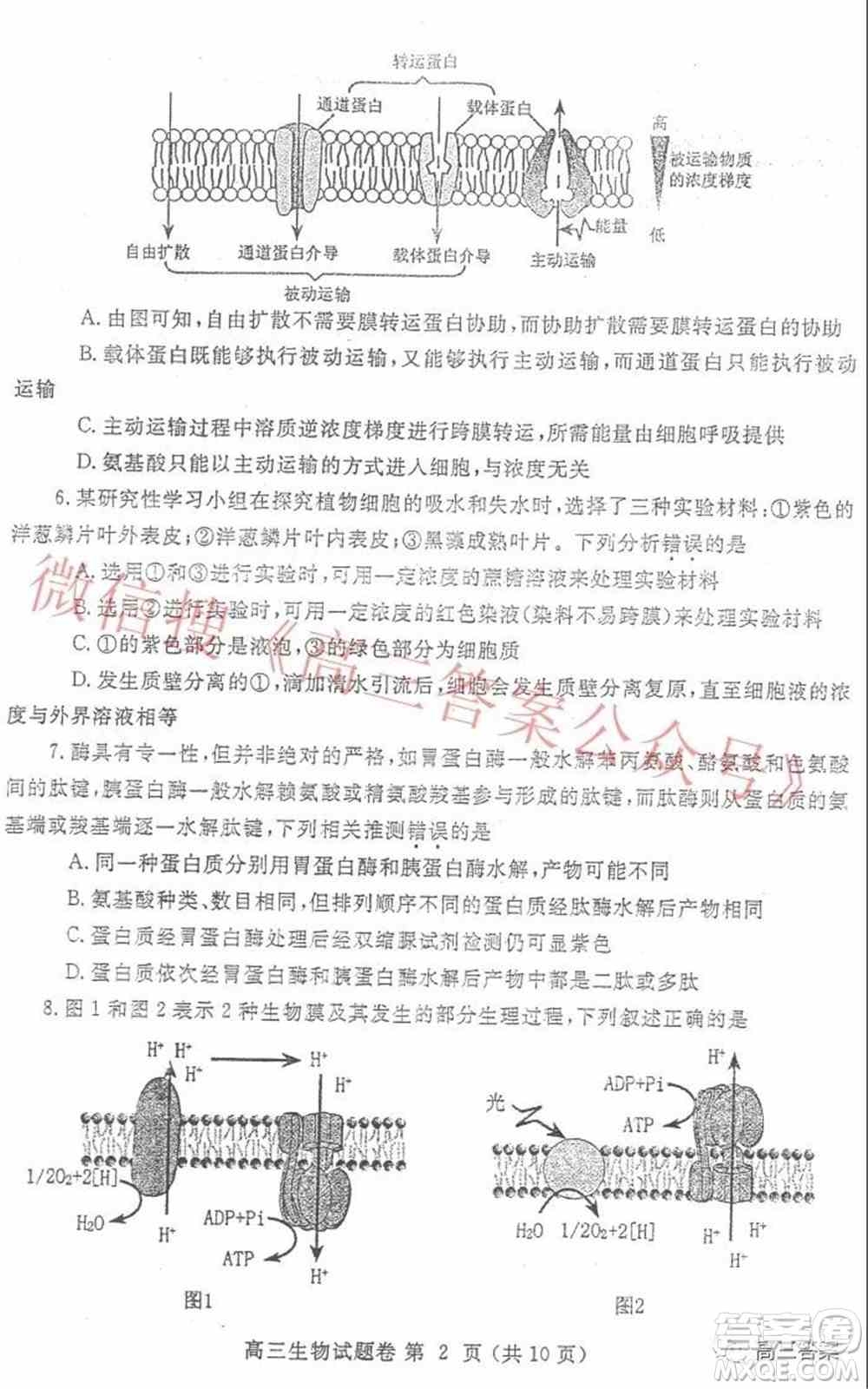 郑州市2022年高中毕业年级第一次质量预测生物试题及答案
