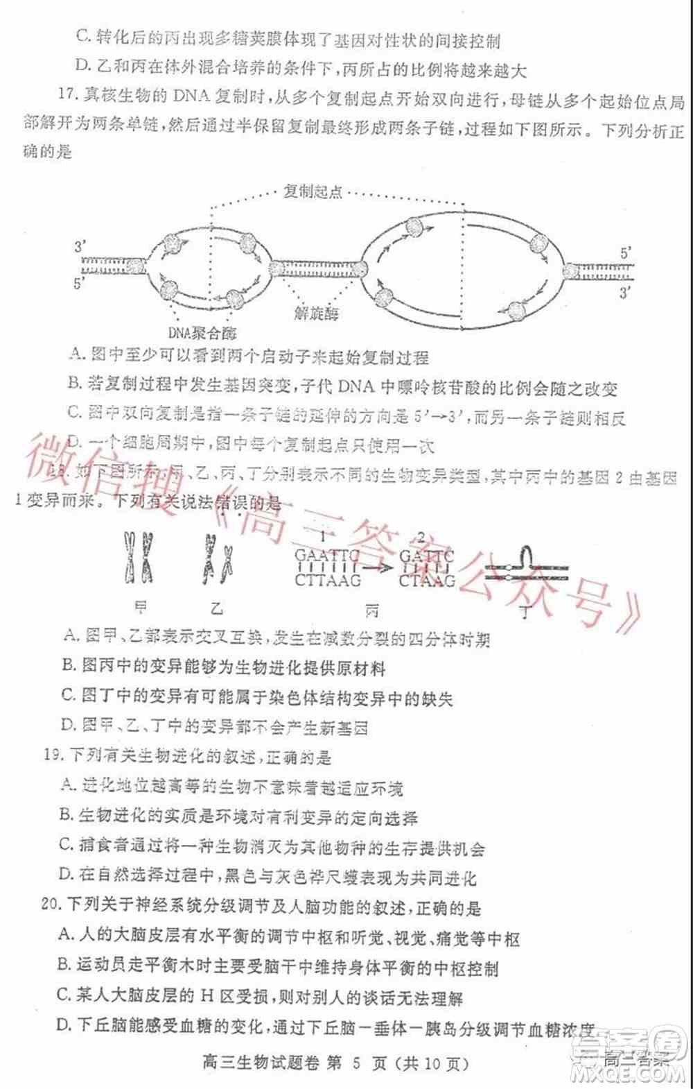 郑州市2022年高中毕业年级第一次质量预测生物试题及答案