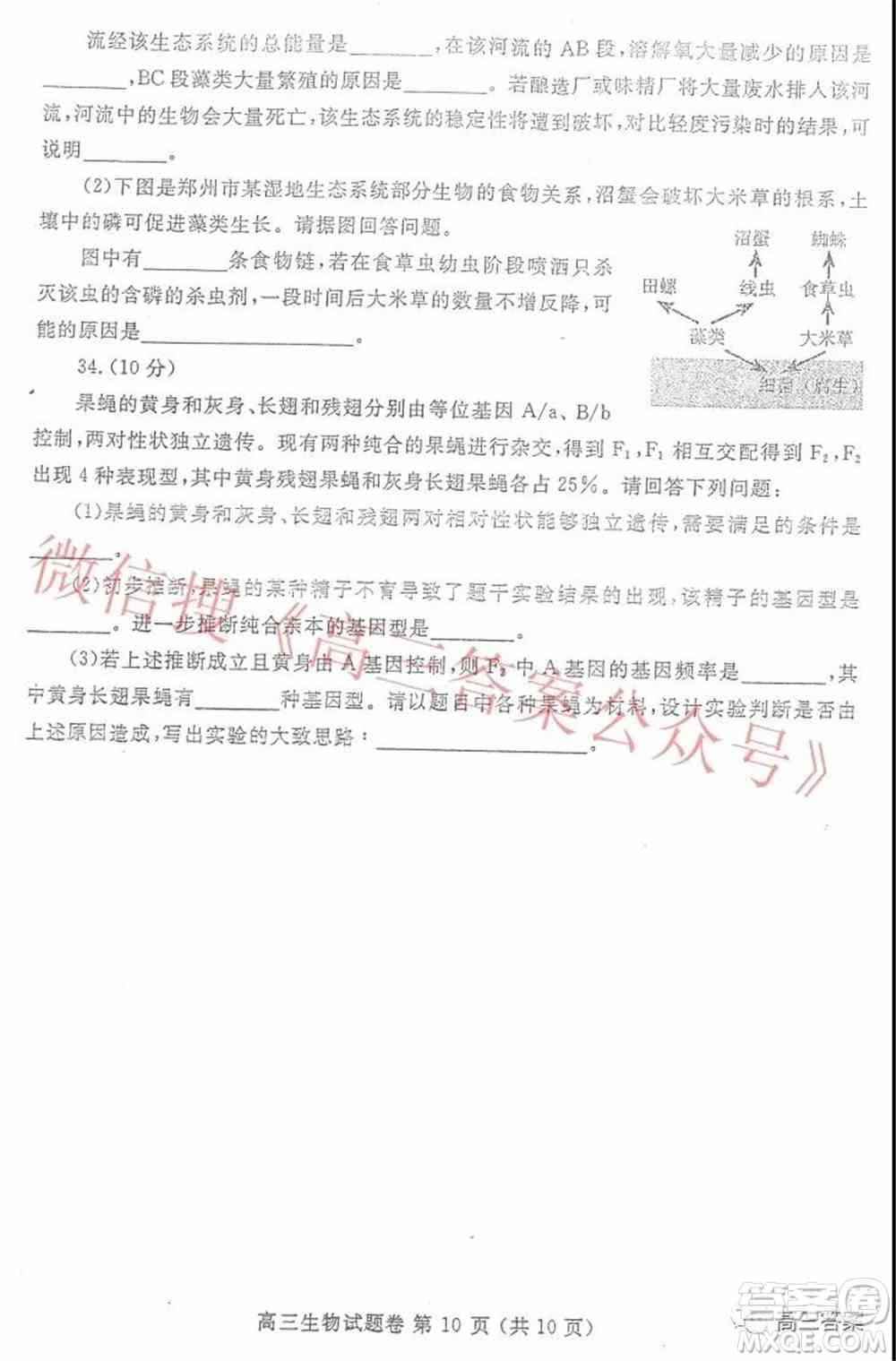 郑州市2022年高中毕业年级第一次质量预测生物试题及答案