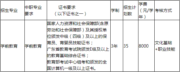 招生专业信息及报考要求