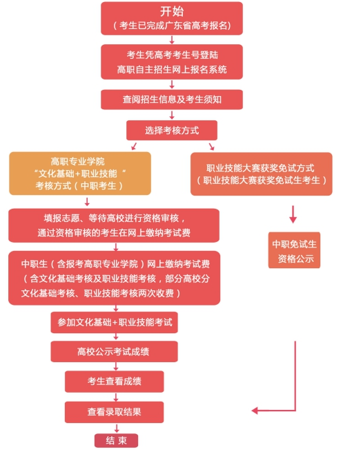 罗定职业技术学院2021年高职专业学院自主招生报考流程图