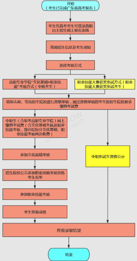 报考流程