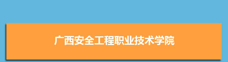 广西安全工程职业技术学院是公办还是民办,公立私立有什么区别？