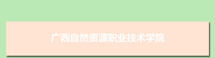 广西自然资源职业技术学院是公办还是民办,公立私立有什么区别？