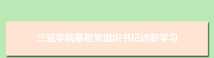 三亚学院召开基层党组织书记述职学习交流会