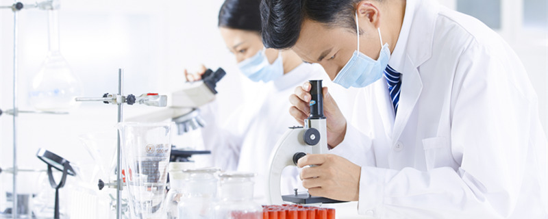 南京药科大学是985还是211的 南京药科大学到底是985还是211的