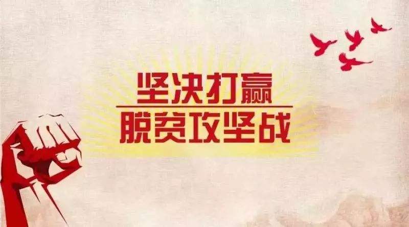 关于巩固拓展脱贫攻坚成果工作开展情况发言稿