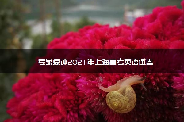 【2022高考真题练习】专家点评2021年上海高考英语试卷