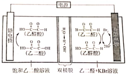 【2022高考真题训练】2021年贵州高考理综真题