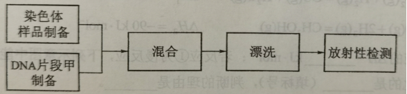 【2022高考真题训练】2021年四川高考理综真题
