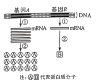 【2022高考真题训练】2021年湖南高考生物真题