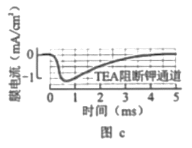 【2022高考真题训练】2021年湖南高考生物真题