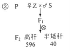 【2022高考真题训练】2021年湖南高考生物真题