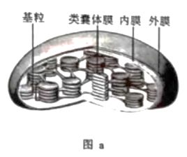 【2022高考真题训练】2021年湖南高考生物真题