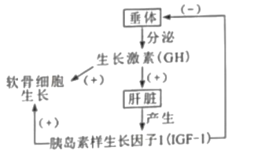 【2022高考真题训练】2021年湖南高考生物真题