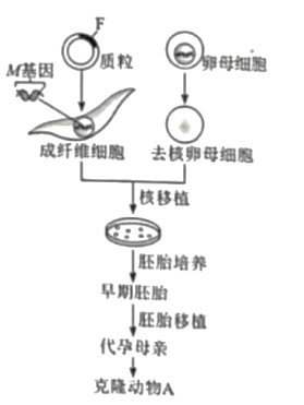 【2022高考真题训练】2021年湖南高考生物真题