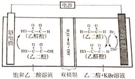 【2022高考真题参考】2021年全国甲卷高考理综真题