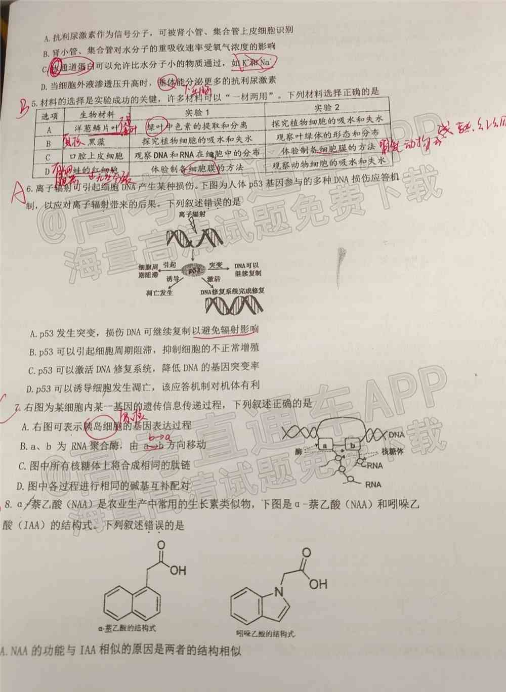 2022珠海一模试卷答案-广东珠海高三一模答案