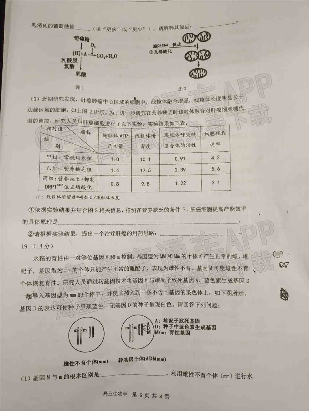 2022珠海一模试卷答案-广东珠海高三一模答案