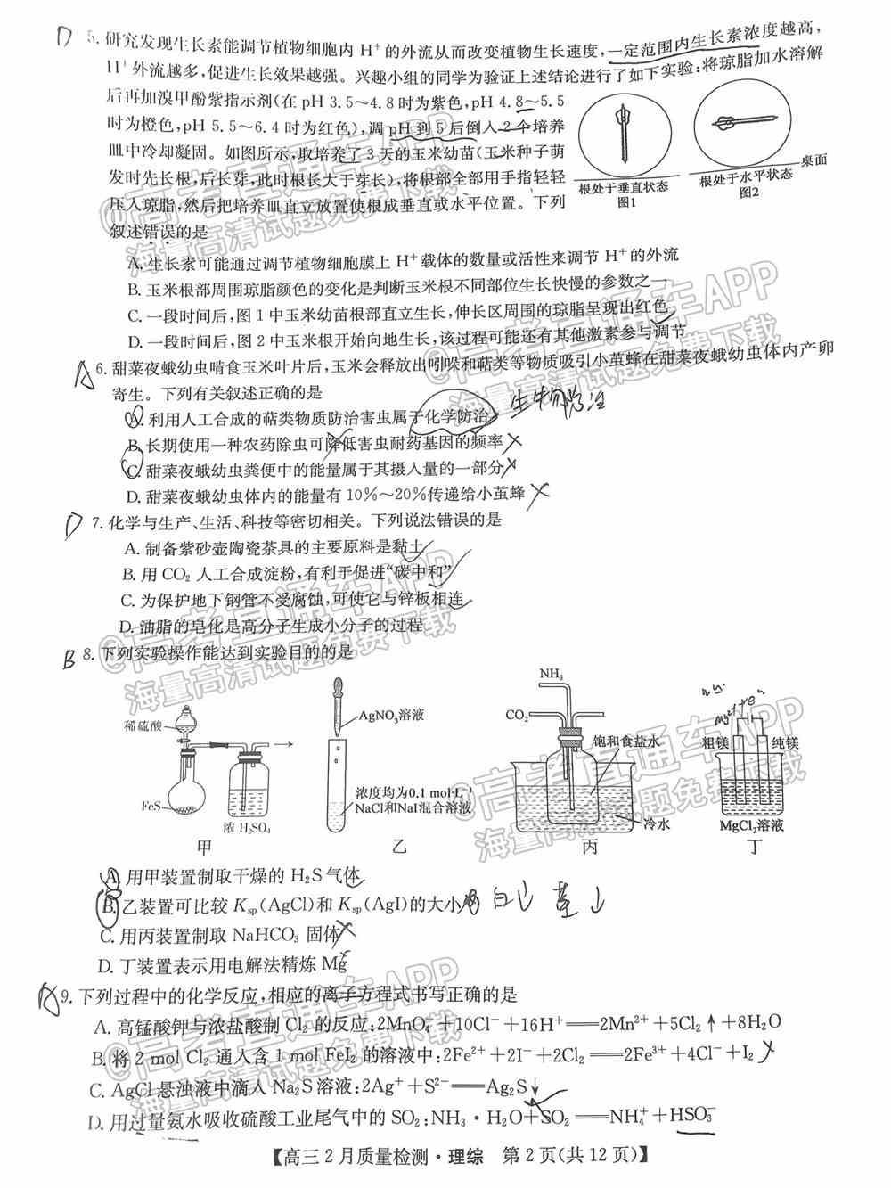 2022九师联盟理综试卷（全国卷）-九师联盟2022理科综合答案（已更新）