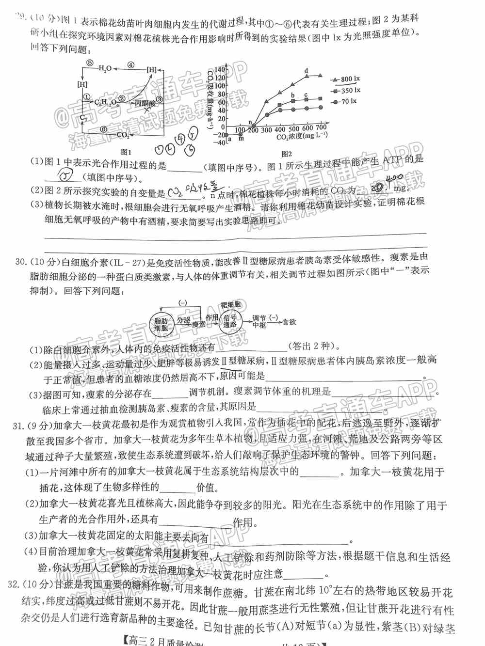 2022九师联盟理综试卷（全国卷）-九师联盟2022理科综合答案（已更新）