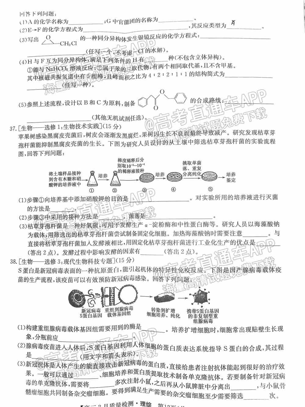 2022九师联盟理综试卷（全国卷）-九师联盟2022理科综合答案（已更新）